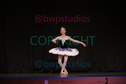 G11 4049